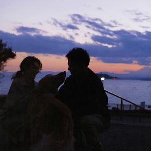 主人用力cao我cao烂我视频
