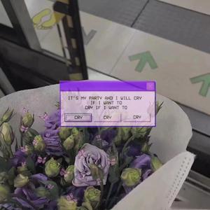 主人用力cao我cao烂我视频
